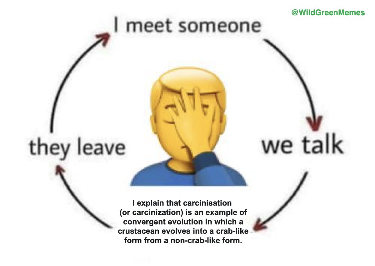 Wild Green Memes for Ecological Fiends tweet media