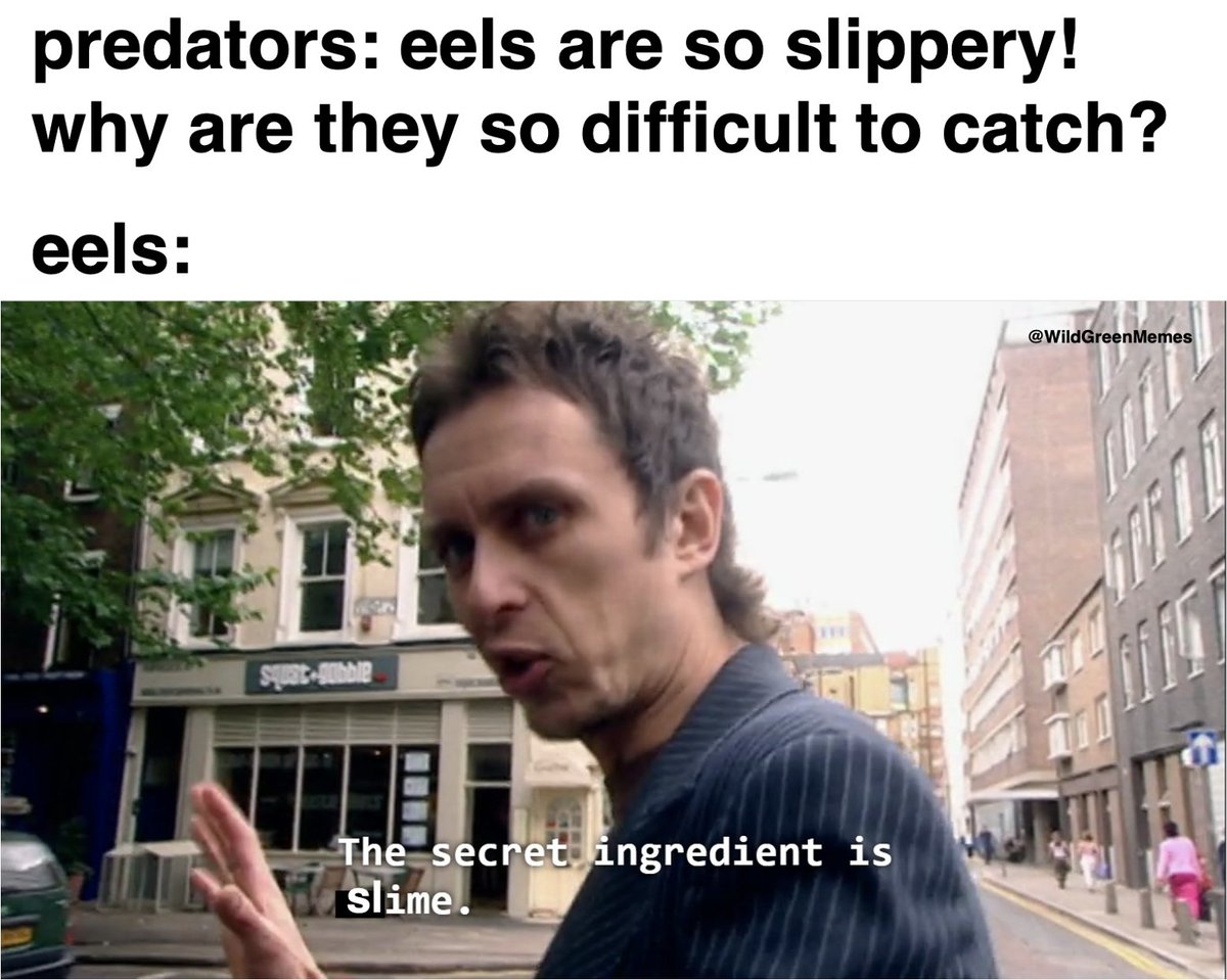 Wild Green Memes for Ecological Fiends tweet media