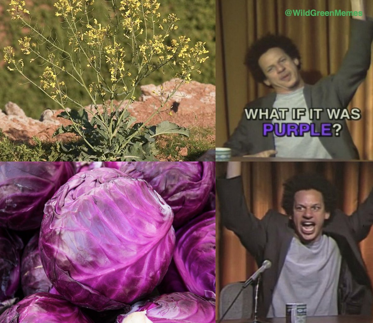 Wild Green Memes for Ecological Fiends tweet media