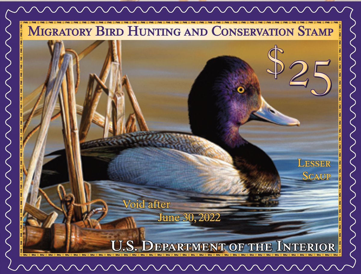 The new Duck Stamp from <a href="/USFWS/">U.S. Fish and Wildlife Service</a> is now on sale!  It's one of the best ways to support wildlife habitat conservation.  Buy one for waterfowl and buy a second for upland birds bit.ly/3jmTQdv  #TheHabitatOrganization