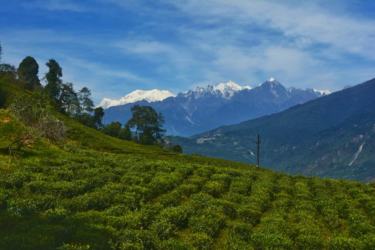 The Temi Tea Garden in Temi is the only tea garden in Sikkim and considered one of the best in India and in the world.
#travelresponsibly #travelgreen #reducecarbonfoorprint #sustainability #mountaineers #mountainbiking #cycling #trekking #community #travelwithus #chai #Northeast