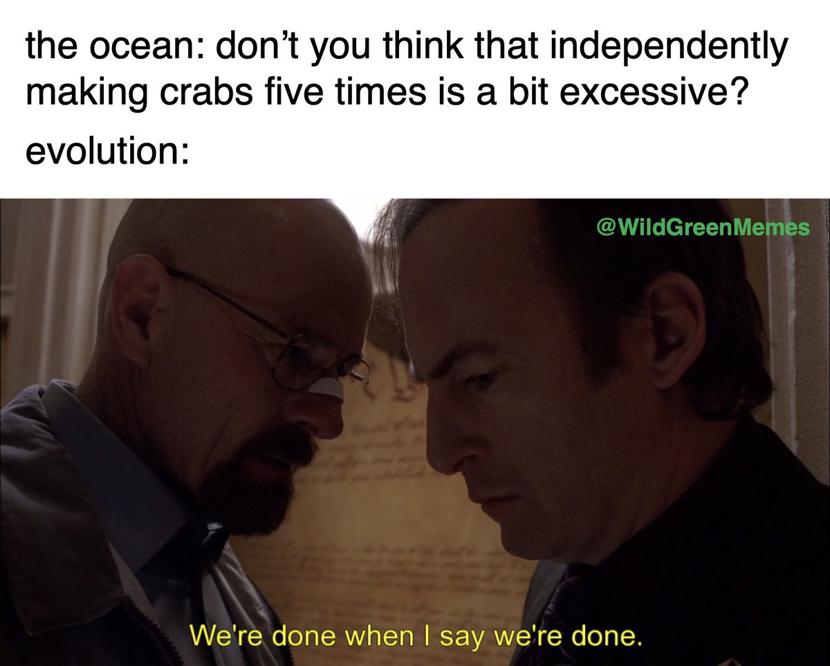 Wild Green Memes for Ecological Fiends tweet media