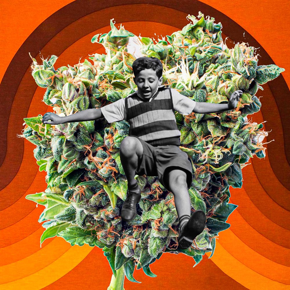 DonnyGoines's tweet photo. โJump For Joyโ.
.
.
.
.
.
#cannabis #smokelikecypressshill #nft #nftart #digitalart #artwork #photography #photographer #photooftheday #artoftheday #artist #artistsofinstagram #lover #stoner #creative #cannabis #love #dreamer #summer #imjustdonny #hightimes #highart #highmerica https://t.co/IhA6pn7sox