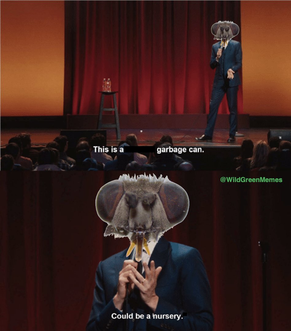 Wild Green Memes for Ecological Fiends tweet media