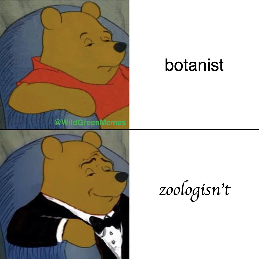 Wild Green Memes for Ecological Fiends tweet media