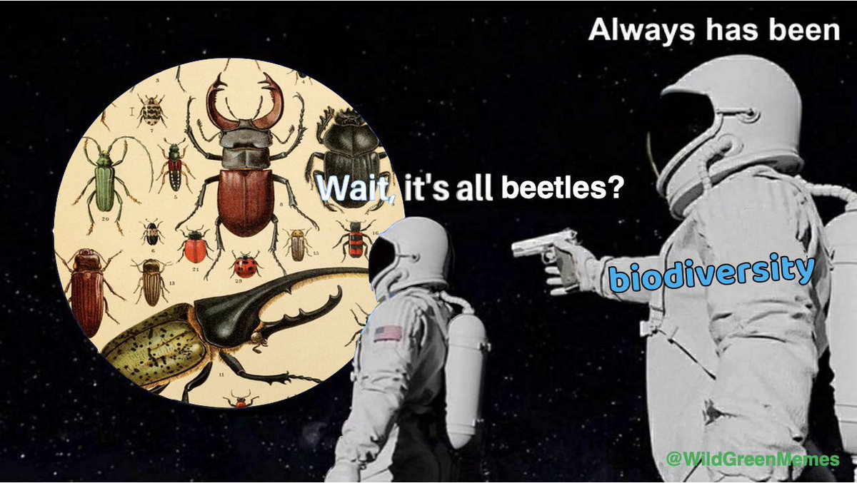 Wild Green Memes for Ecological Fiends tweet media