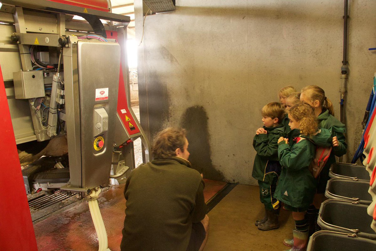 Today Arla member Mark Glanvill hosted a local school visit to share his love and passion for dairy farming. Bringing an understanding of food &amp; the countryside to as many children as possible is something our members are extremely passionate about #countrytrust #community