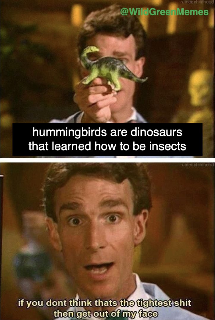 Wild Green Memes for Ecological Fiends tweet media