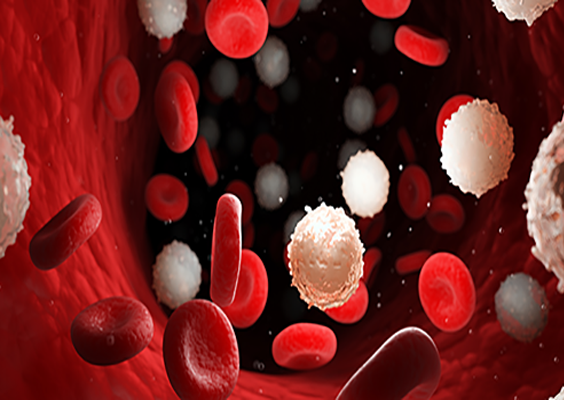 karmanoscancer's tweet photo. Immunotherapy 101: What it is and how it’s used to treat cancer. https://t.co/zM6SmIFoHo #YourBestChance https://t.co/9Yjxp9X6xy