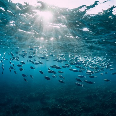 GovExec's tweet photo. Why America Must Leadโand Fundโthe Ocean Data Revolution https://t.co/E267Vjp3aZ https://t.co/qmvlfqIk3K