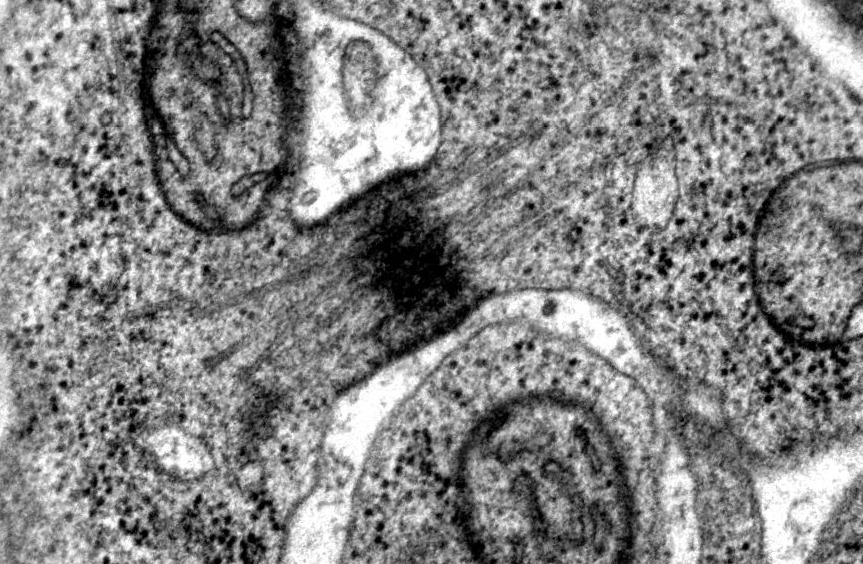 Sanja Jasek tweet media