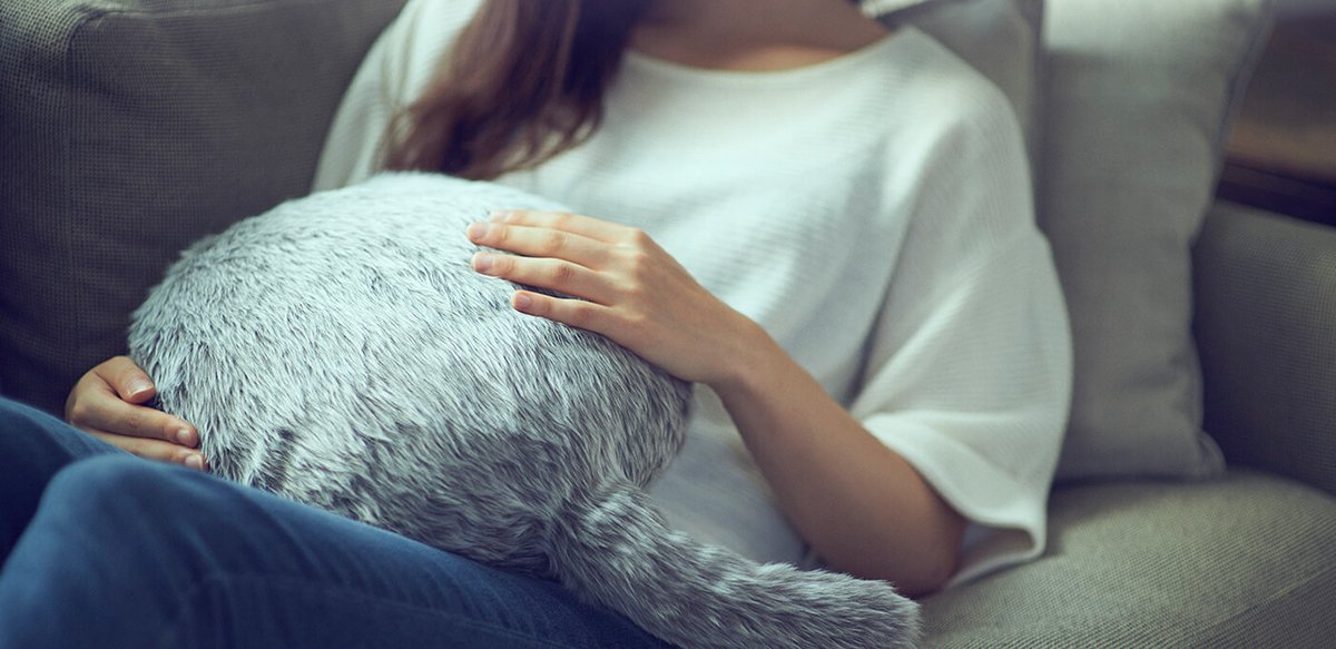 Teardown Library tweet media