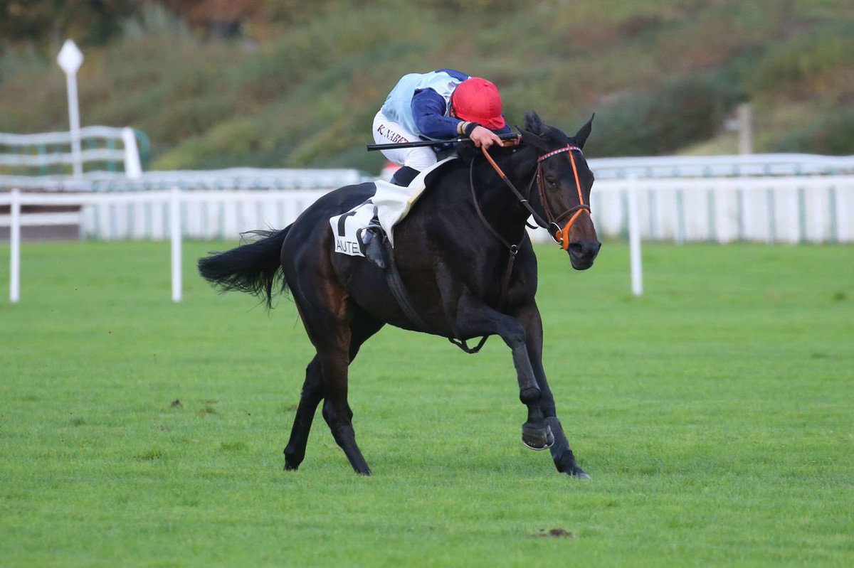 Kevin Nabet (@kevinnabet) on Twitter photo Très ému d’apprendre la disparition de cette amoureuse des courses, des chevaux qu’était Magalen Bryant. Je tenais à remercier cette grande Dame, ainsi que l’équipe de David qui m’ont offert mon premier Grand Steeple de Pau, associé à la magique LATERANA. Très ému d’apprendre la disparition de cette amoureuse des courses, des chevaux qu’était Magalen Bryant. Je tenais à remercier cette grande Dame, ainsi que l’équipe de David qui m’ont offert mon premier Grand Steeple de Pau, associé à la magique LATERANA.