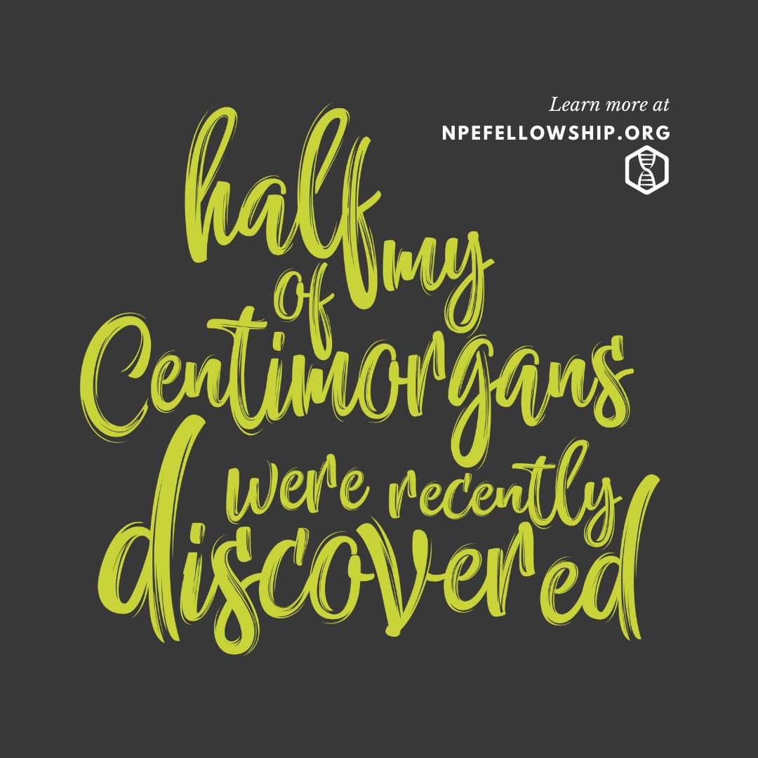 #NPEAwareness #genetics #NPEAwarenessMonth #NPE #CENTIMORGANS #MPE #misattributedparentage #DNANPE #dnatesting

NPEFellowship.org
🌿💚🧬