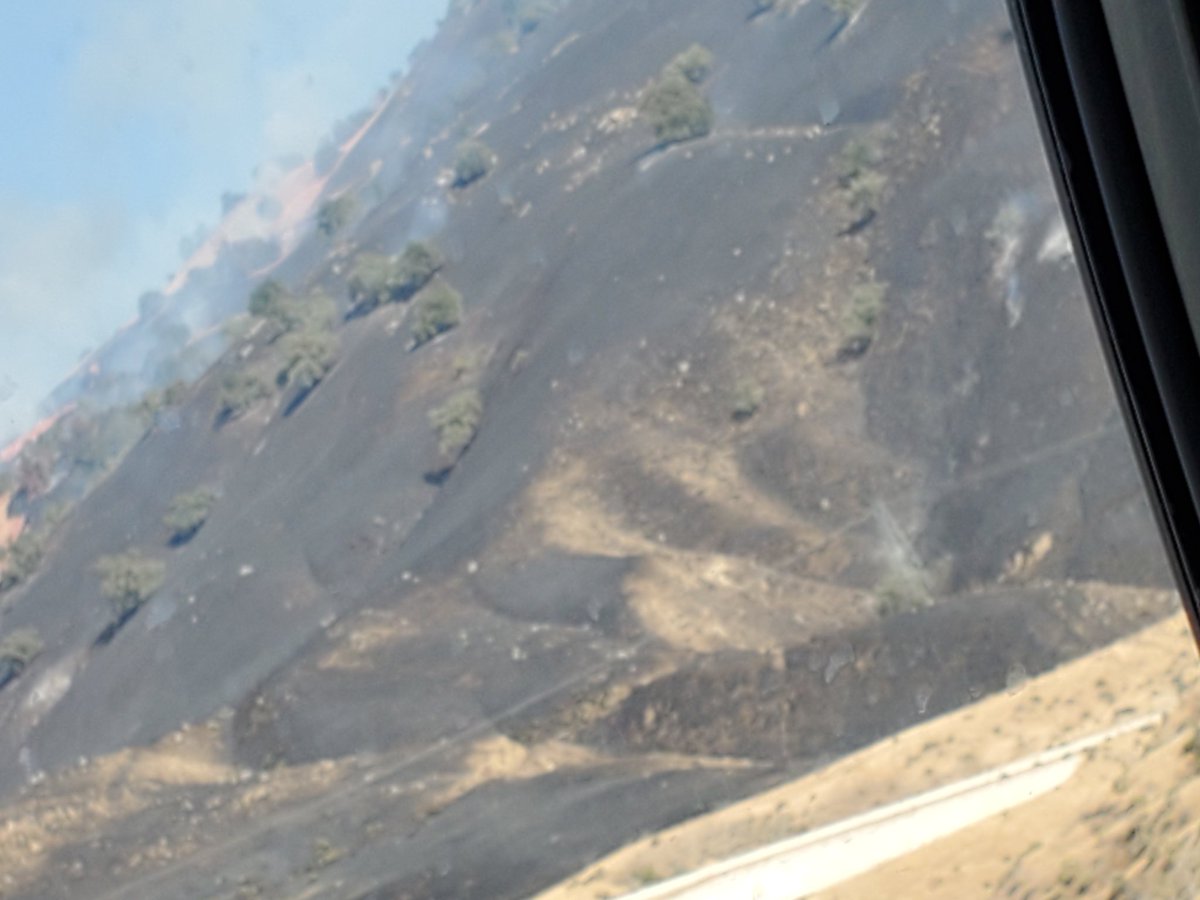 18Cat14's tweet photo. The state is on fire https://t.co/YTmOu2AamI