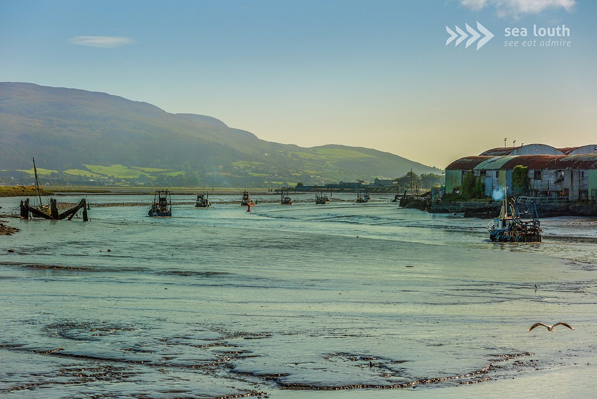 sealouth tweet media