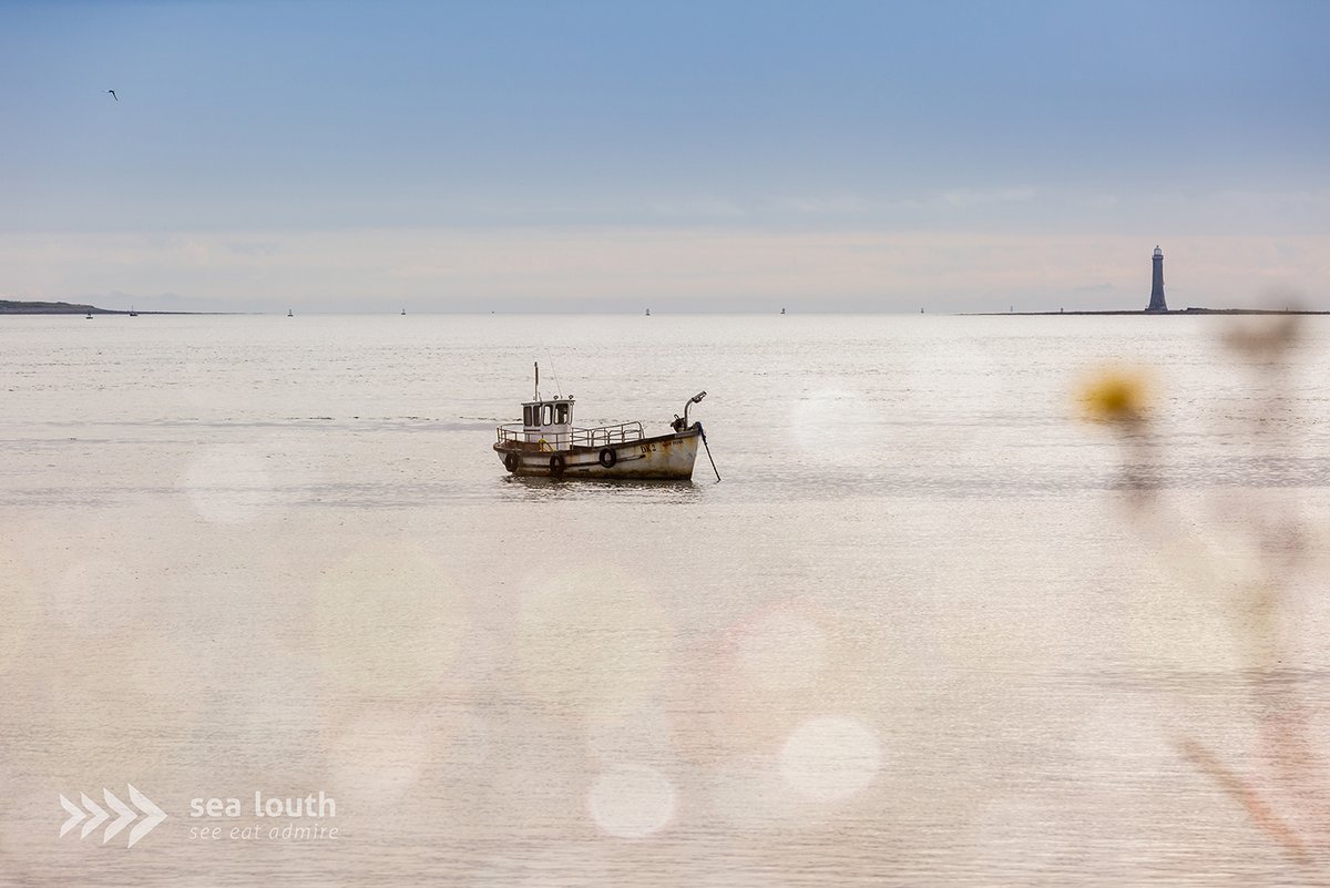 sealouth tweet media