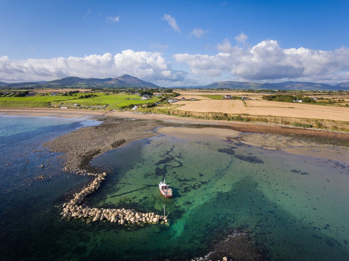 sealouth tweet media