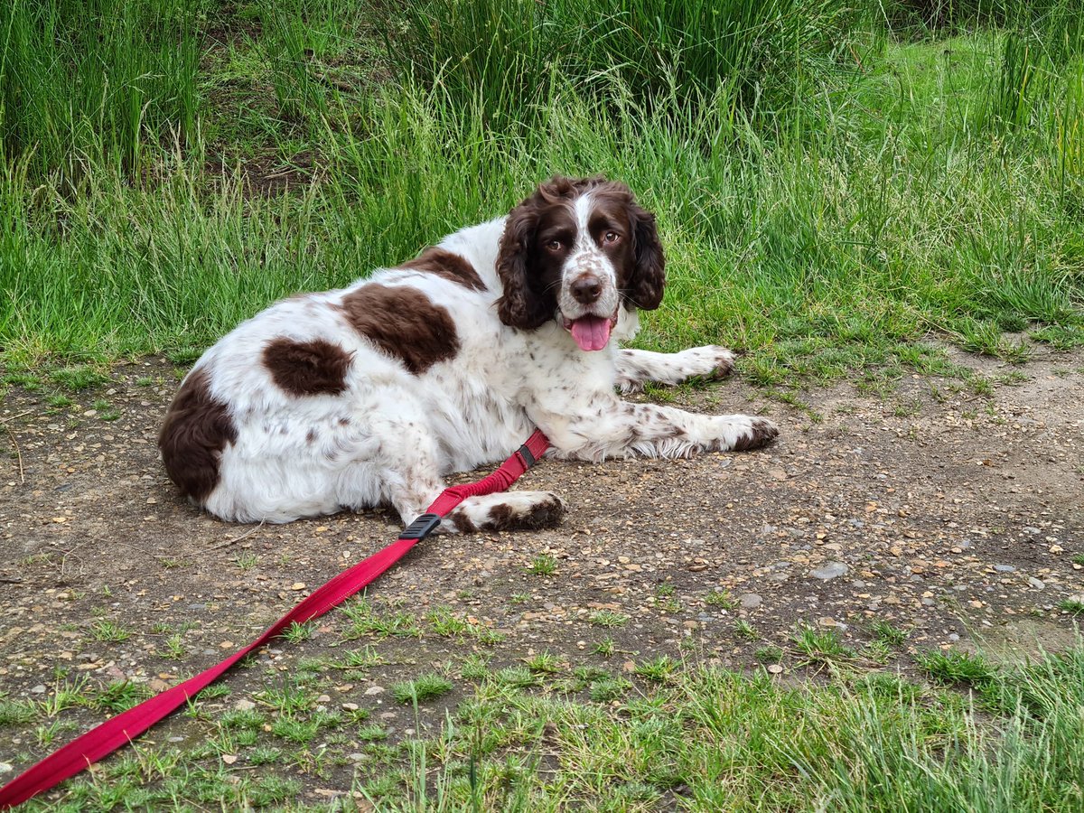 Hannah Fosbery tweet media