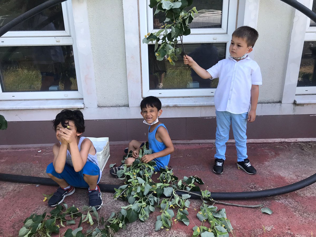 Anasınıfı öğrencilerimizle kış içeceğimiz  ıhlamur toplama etkinliği yaptık. Şimdiden sağlık ve afiyet olsun...
<a href="/ziyaselcuk/">Ziya Selçuk</a> <a href="/memleventyazici/">Levent Yazıcı</a> @h_aydogdumeb