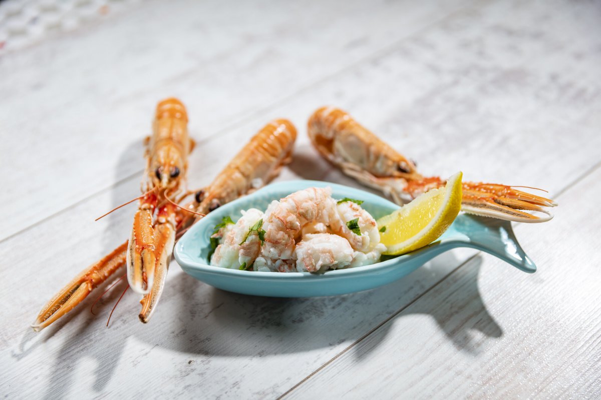 sealouth tweet media