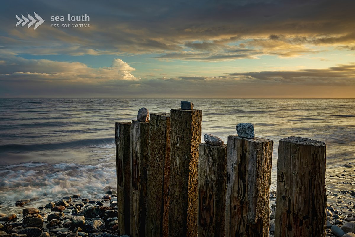 sealouth tweet media