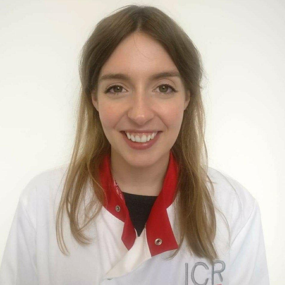 Postdocs_ICR's tweet photo. Meet Dr Alison Harrod, whose work was selected to be featured as an oral presentation at this year's ICR Conference!👏 Alison joined @TheDownsLab in @ICR_London in 2019 &amp; her research focuses on synthetic lethal interactions with members of the SWI/SNF complex. 1/3

#Postdocs_ICR https://t.co/BdifWCCYv1