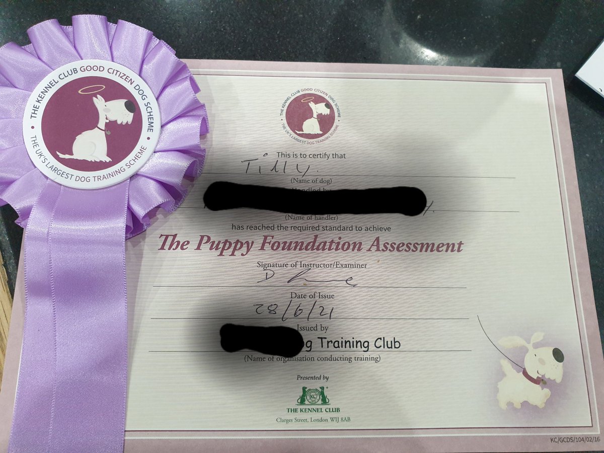 DaisyTurnip's tweet photo. Wahoooo! Bronze Classes start next week. #GoTilly https://t.co/qM2RXVPor9