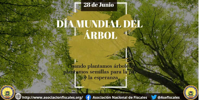 Asociación Nacional de Fiscales Colombia on Twitter: 