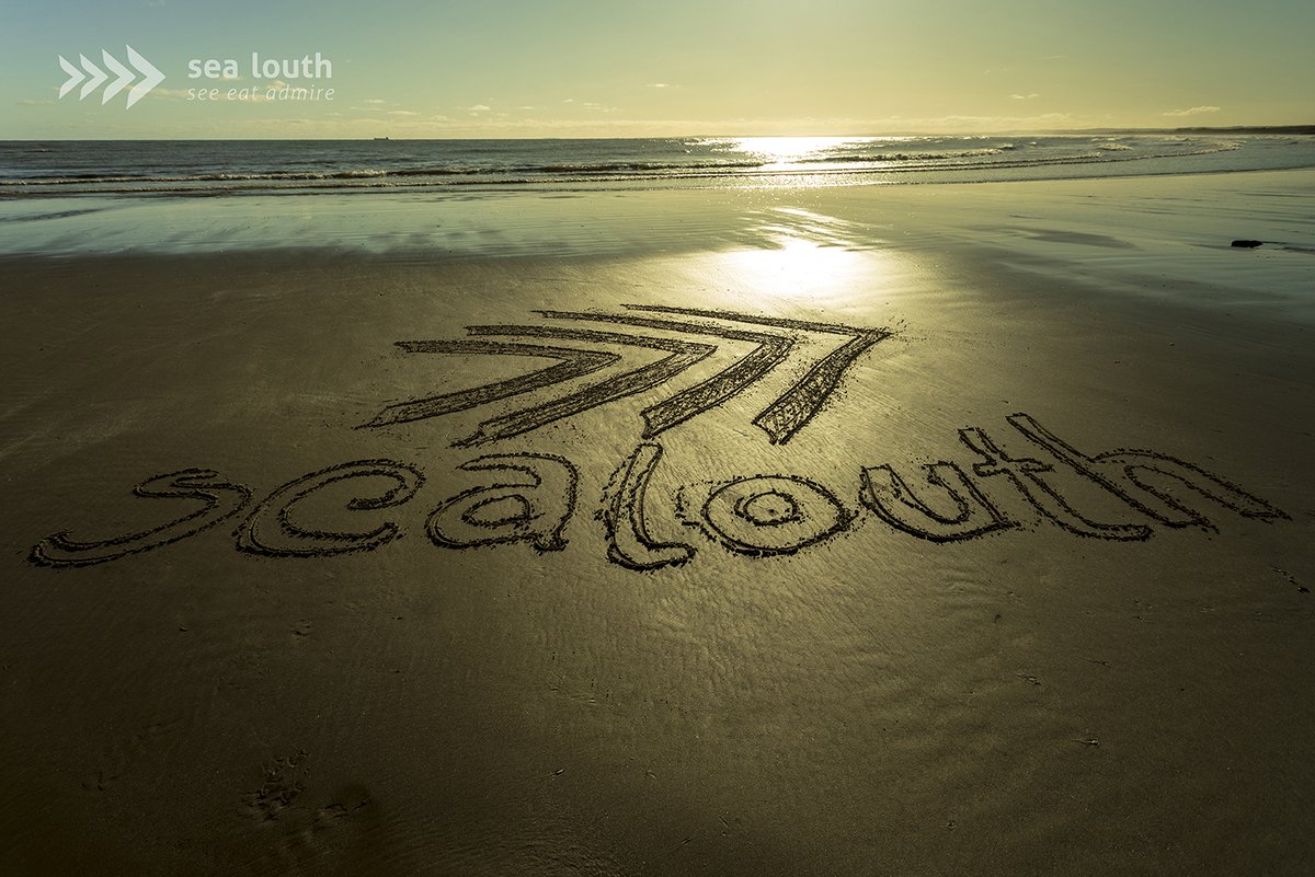 sealouth tweet media