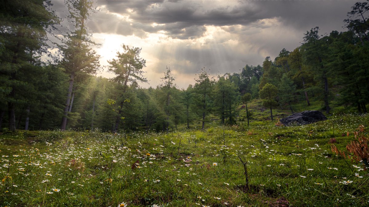raohamid's tweet photo. I want to thank @Huk06 for re-introducing me to Twitter by posting this photograph I took a week ago. Thanks man! Going to try and become a regular here from now on. #Pakistan #landscape #landscapephotography #nature https://t.co/uijMnoLcCu