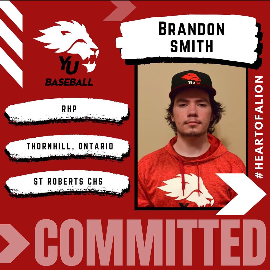 York Lions Baseball tweet media