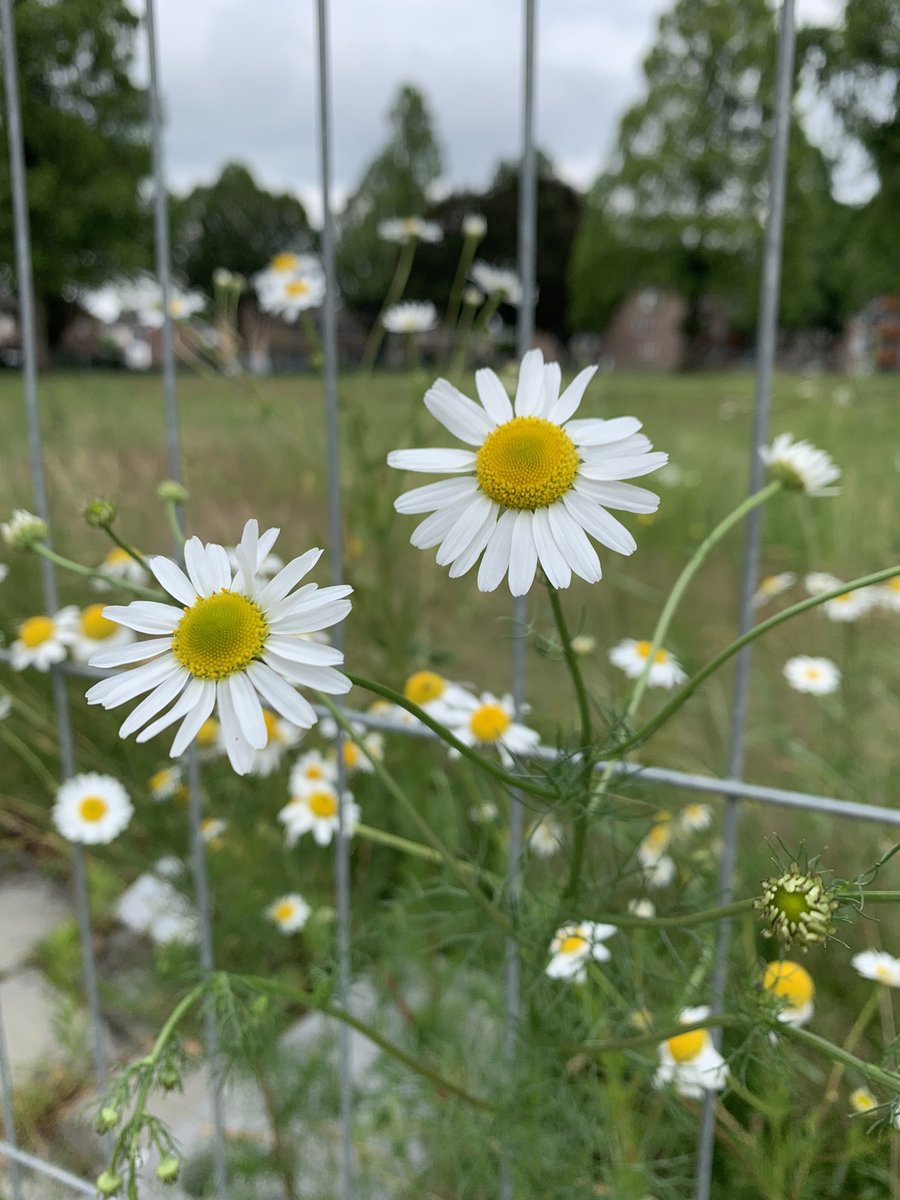 Het is #zomer!