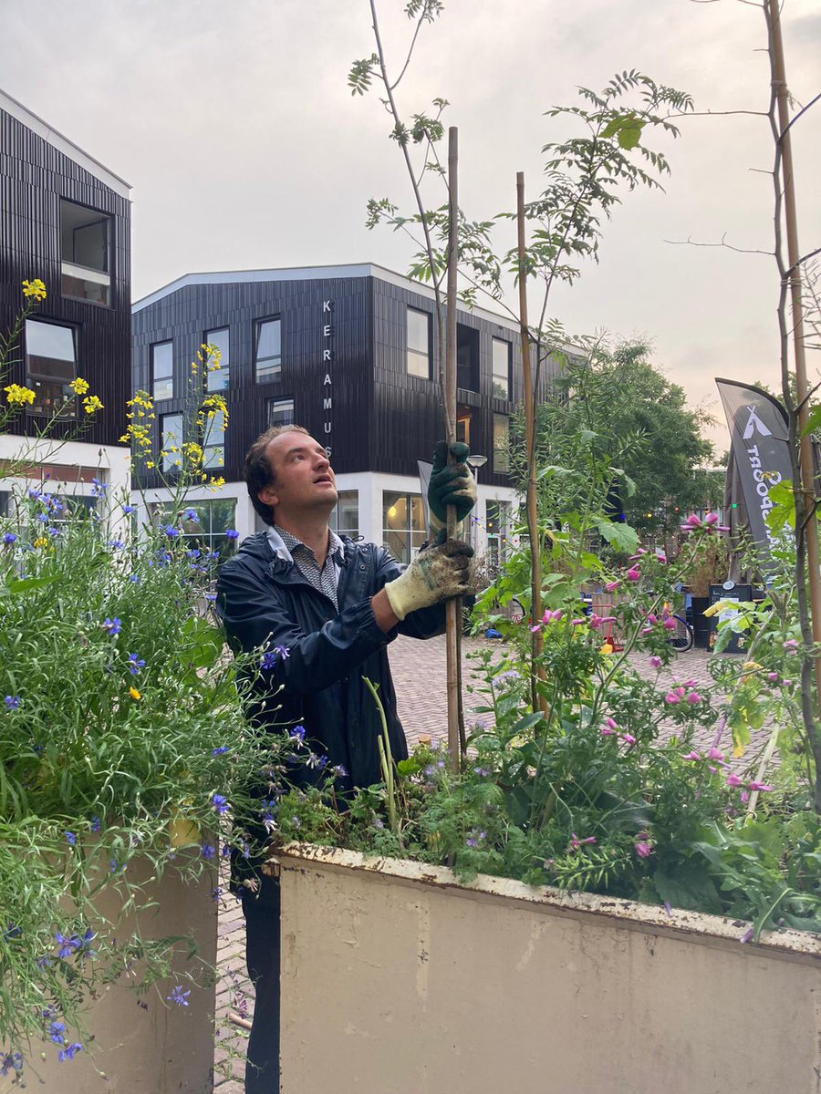 RonBuiting's tweet photo. onderhoud aan de mobiele tuintjes! #zusterpark #rotsoord #guerillagardening #justdoit https://t.co/1vd8VrvUHk