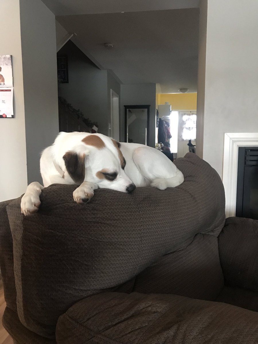 Jamie Mitchell tweet media