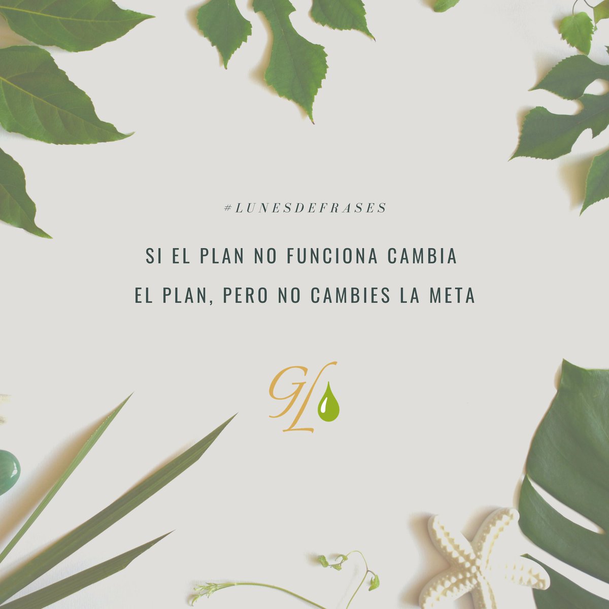 GLeviare's tweet photo. Excelente inicio de semana ¡A darle con toda la actitud! #Lunes #LunesdeGratitud https://t.co/FkzGIdcPCN