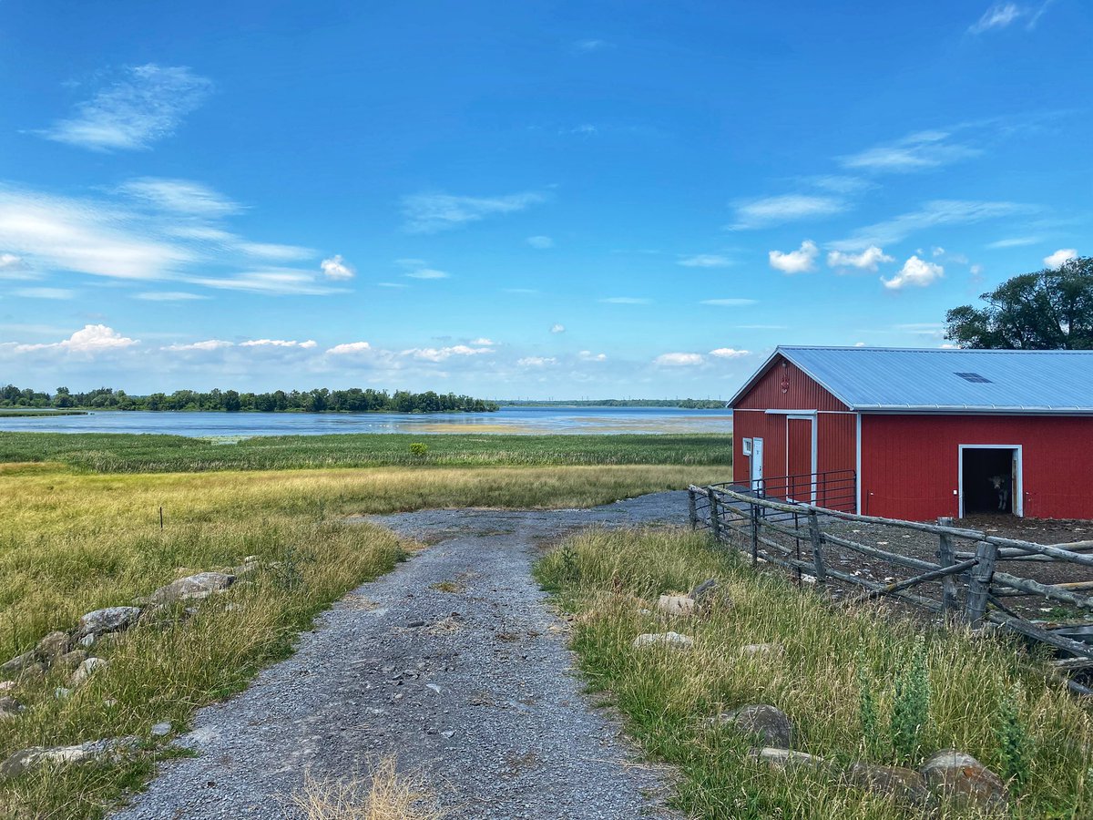 travelingmitch's tweet photo. Thus far, the “L&amp;A Ride” in Lennox &amp; Addington has been perfect. I’m about 35 kms in! 

Picturesque Eastern Ontario landscapes, and some lovely views on the water’s edge. 

Nicely paved roads for cyclists as well! The sun is shining, and I simply couldn’t ask for more right now. https://t.co/V53vIRmvns