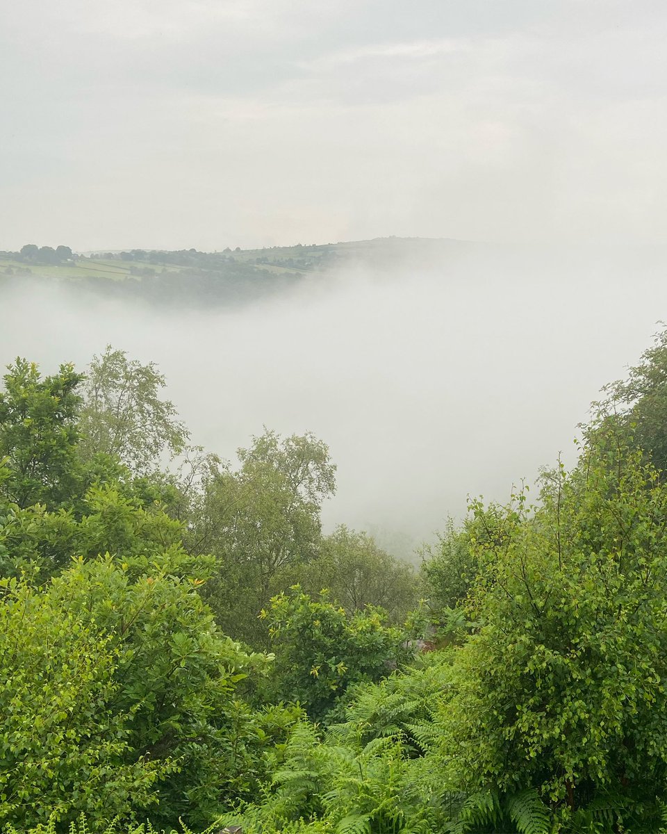 jackwallington's tweet image. The floating island has appeared! #cloudinversion #junglevibes