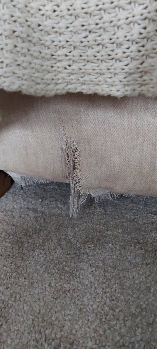 Lee Morris tweet media