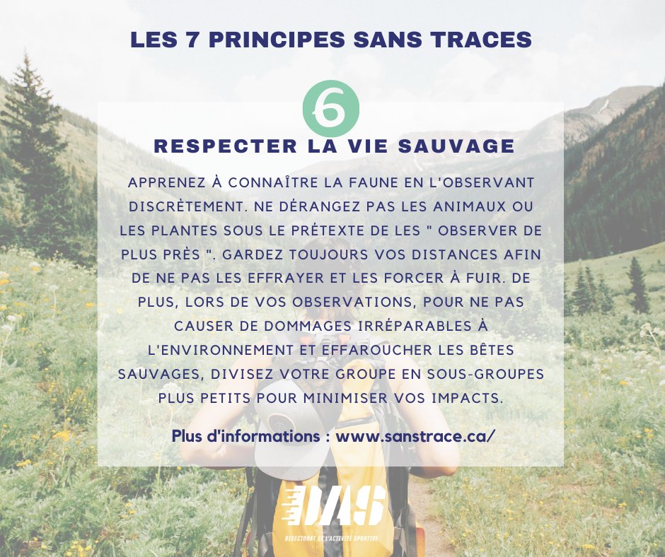 Sports en français tweet media