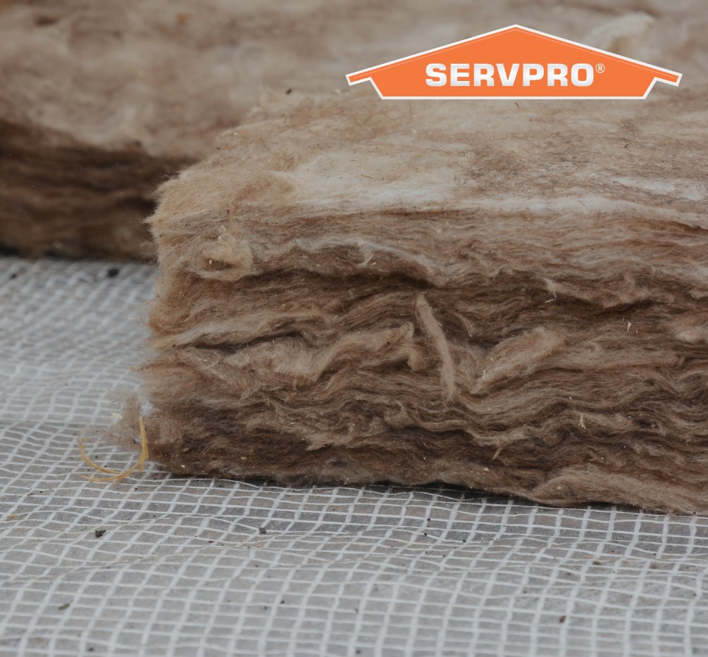 Wall insulation holds in water after a flood. Removing the wet insulation will prevent mold growth.