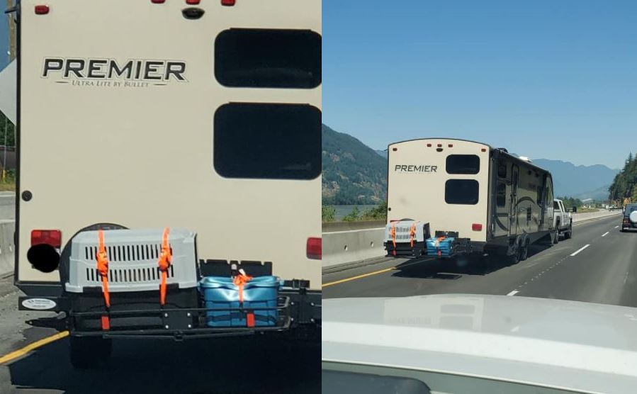 CityNews Vancouver tweet media