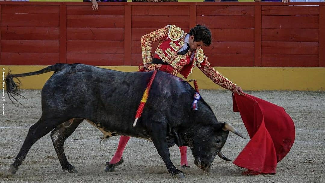 Interesantísima la novillada de ayer en Valdetorres del Jarama, por el ganado de ambas ganaderías por la predisposición de los novilleros actuantes una pena lo de los aceros. 

📷 <a href="/mi_mirade/">Mi Mirada 🇪🇸 🇺🇦</a>