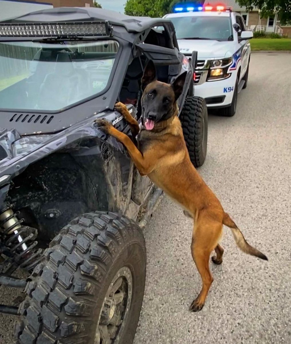 superatvtweet's tweet photo. @MarkFreeman408 is making all kinds of friends in his #StreetLegal @CanAm #MaverickX3 with AT #WarriorTires, #SATV Glass Windshield, &amp; #RhinoAxles! 🐶🚔 
#superatv #satvnation #markfreeman #satvsuspension #offroading #policedog #canam #k9 #canammaverickx3 #x3 #teamltd #k9unit https://t.co/pHzNuGwm0s