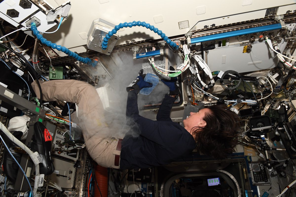 Astro_Megan's tweet image. I always like working with plants on @Space_Station!🌾Advanced Plant Experiment-7 helps us understand how plants react to growth in micro-g at a genetic level. @Astro_Sabot harvests the plants; I get them in cold storage for @SpaceX Cargo return next week. go.nasa.gov/3qvSCyh