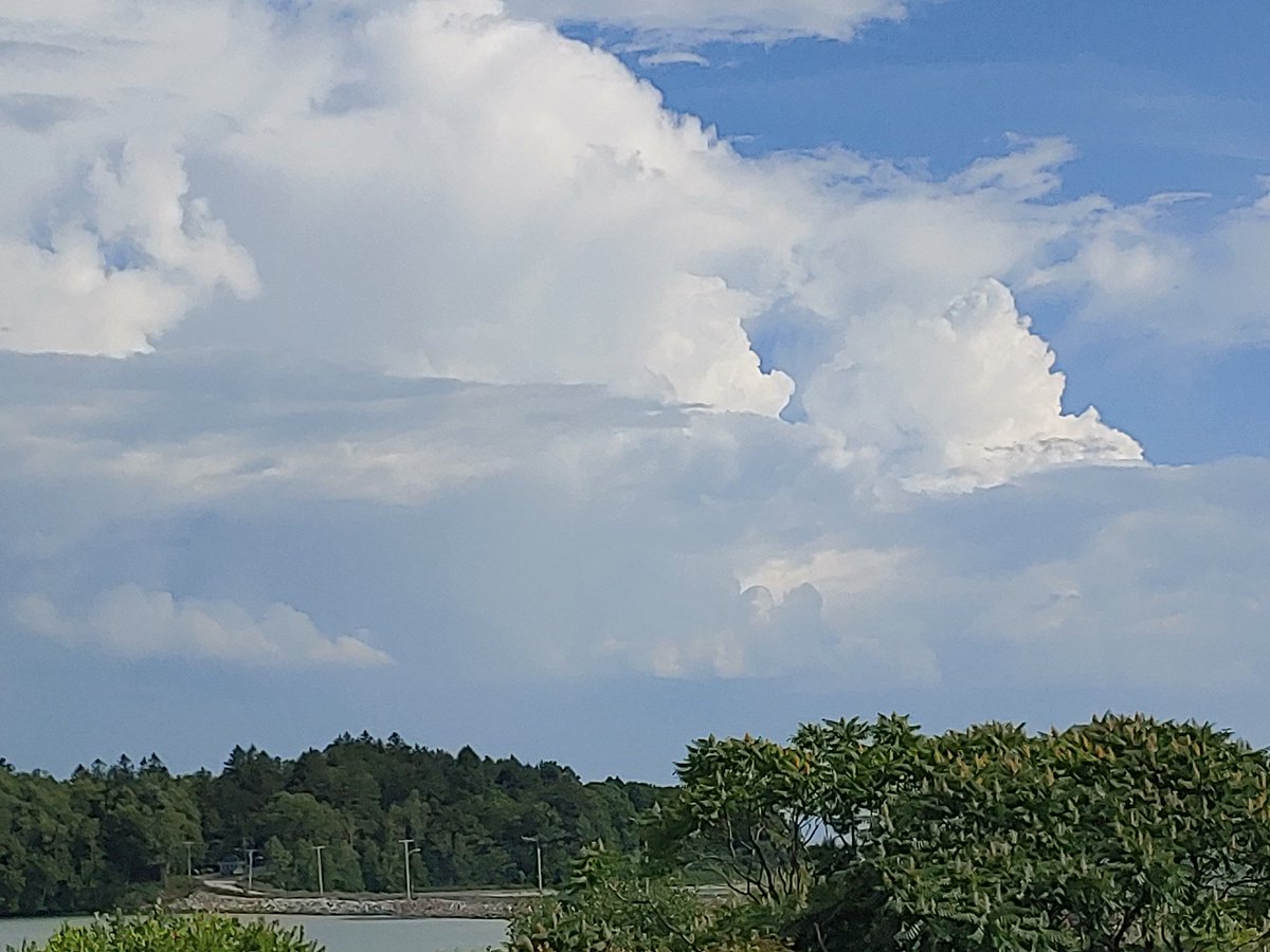 Hot, but pretty out her this afternoon