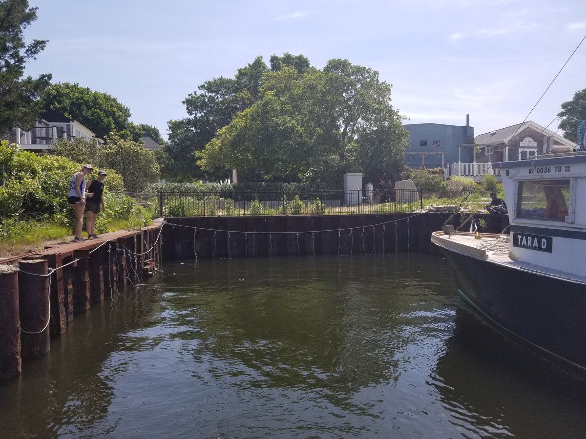 401scuba's tweet photo. Finished setting up one of  #projects this #summer. Just adding #oysters on Wednesday. Nice view on the way to the site.
#Shellfish #restoration #Aquaculture @rwu_shellfish_program @rwusciences #NarragansettBay https://t.co/EWRJphwGSv