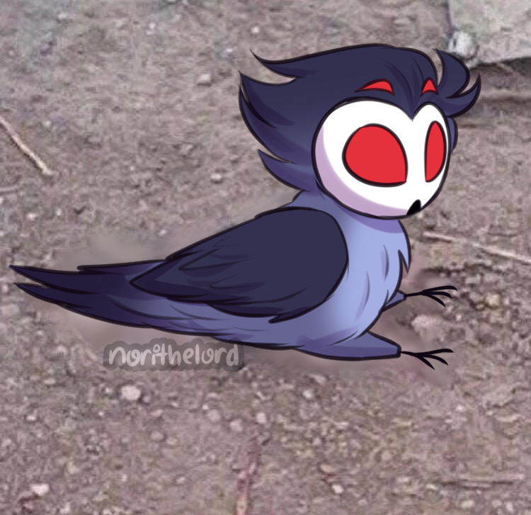 NoriTheLord's tweet photo. Owl Stolas being a cursed bird part 1 uwu
#helluvaboss #helluvabossstolas #owlstolas #stolas #cursedimages #memes #cursedbird #stolashelluvaboss #owl https://t.co/JltadbmpMT