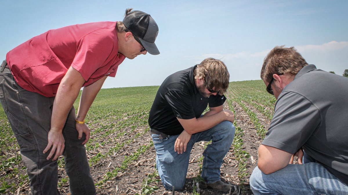 LGSeeds's tweet photo. Team building, drought conditions, and behind the scenes of marketing. Those are just a few of the things Marketing Intern, Jenna, learned about last week. Keep up with the adventures in her latest blog https://t.co/oP1EMeRq5G. #WeMeanBusiness #Internship #AgIntern https://t.co/ll27HhgBnp