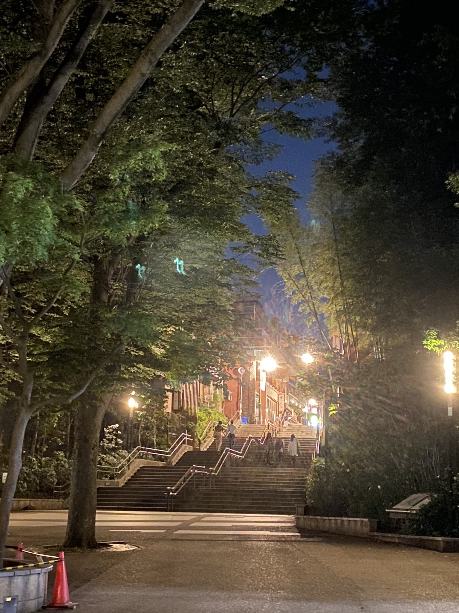 梵極道a K A大麻王 井の頭公園でchill散歩 D Y T Co Phhx8qmyzv Twitter